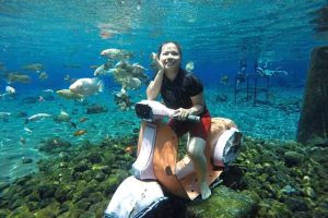 FB_IMG_15688005310526691.jpg FB_IMG_15688005310526691.jpg